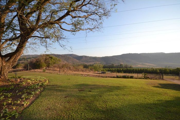 Hilltop AH Farm For Sale: 27.7ha, houses, workshop, Macadamia production, water rights.