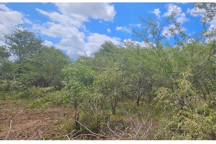 Vacant Land Residential in Marloth Park Central For Sale - 1500 sqm, peaceful setting.