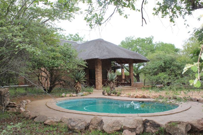 House For Sale in Marloth Park Central: 4 beds, pool, large lot, security.