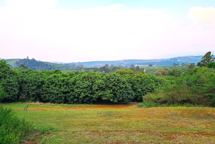 Hazyview Rural Farm For Sale: 193 hectares, lodge, crops, water resources, helicopter access.