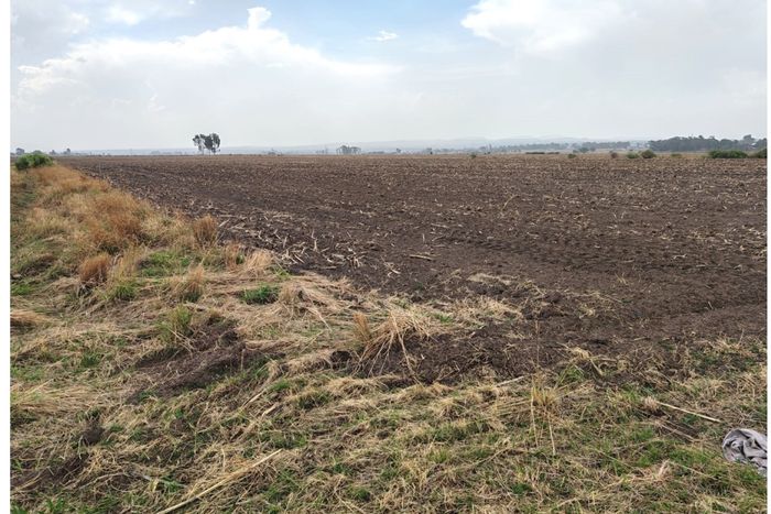 Farm for Sale in Chrissiefontein: 20.23HA cultivated land, ready for crops.