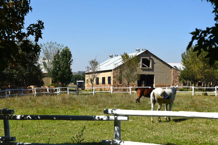 For Sale: Farm in Bronkhorstbaai with stables, paddocks, and natural springs.