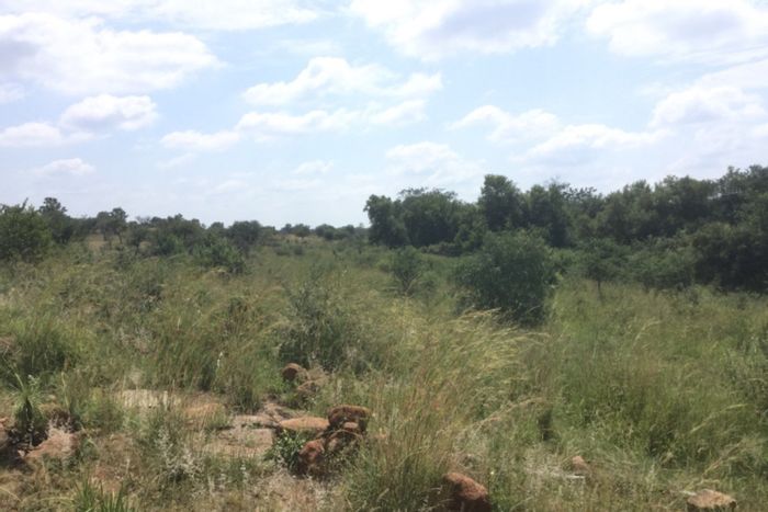 For Sale: 350ha Farm in Dinokeng Game Reserve with Borehole and Escom Power.