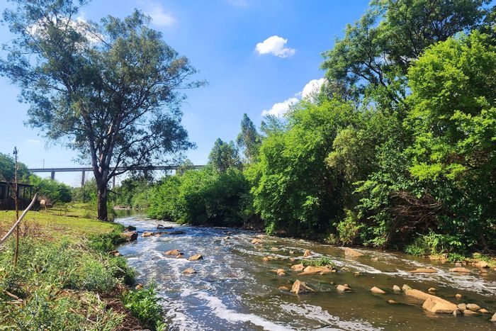 Leeuwfontein Farm For Sale: 5.48 hectares, boreholes, electricity, grazing fields.