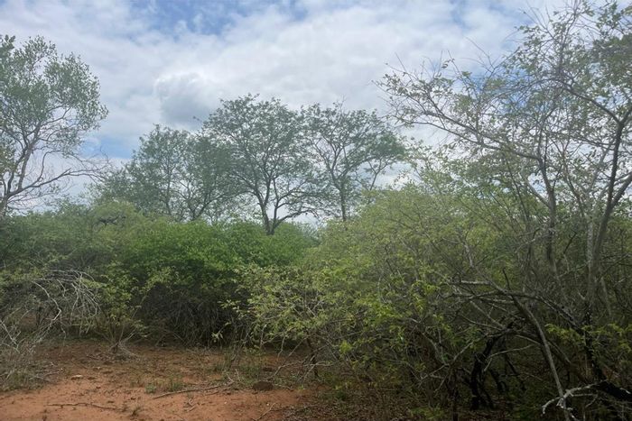 Vacant Land Residential in Marloth Park Central, For Sale near parkland and wildlife.