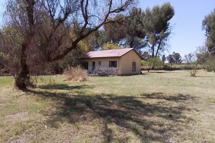 Walker Fruit Farms House For Sale: 2.2 hectares, main house, additional dwelling, agricultural potential.