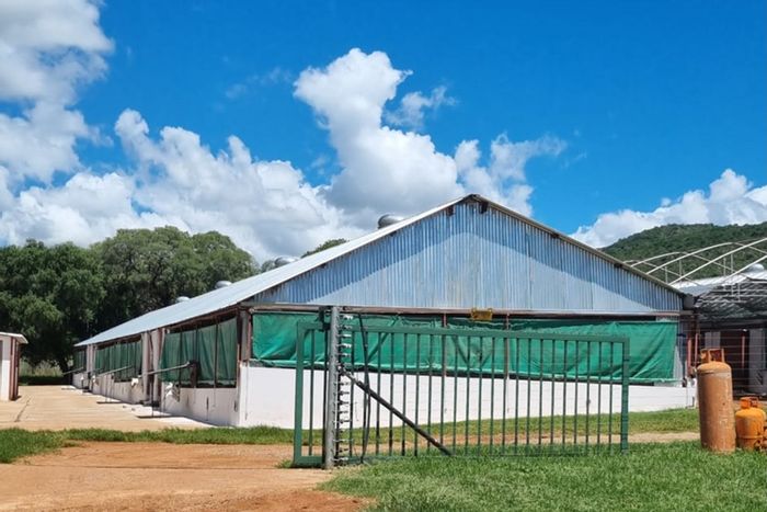 For Sale: Mahwelereng Farm with diverse amenities, livestock, and eco-tourism potential.