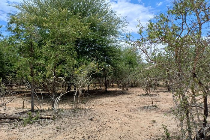 Vacant Land Residential for Sale in Marloth Park Central, near Crocodile River.