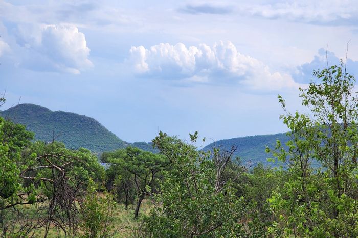 Vacant Land for Sale in Zwartkloof Private Game Reserve with Wildlife Access.