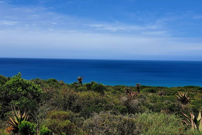 For Sale: Vacant Land Residential in Springerbaai Eco Estate with beach access, wildlife.