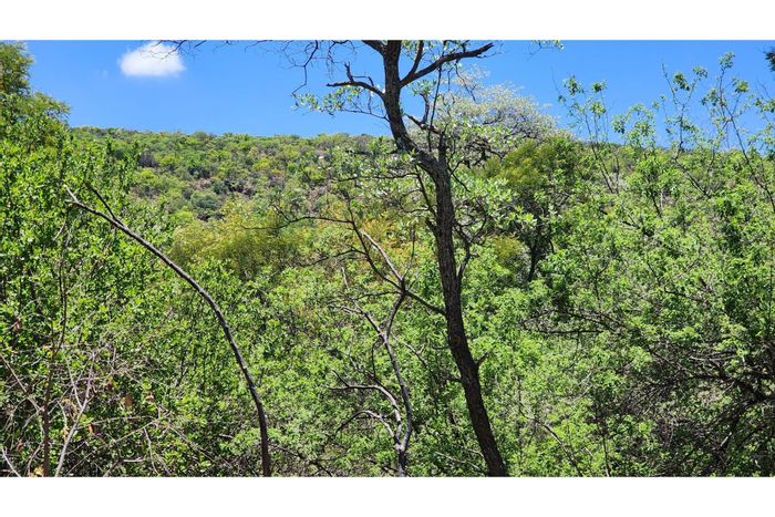 Vacant Land for Sale in Intaba-Indle Wilderness Estate: Secure, scenic, and nature-rich.