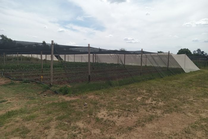 For Sale: Homelands Farm with grow tunnels, boreholes, and large shed.