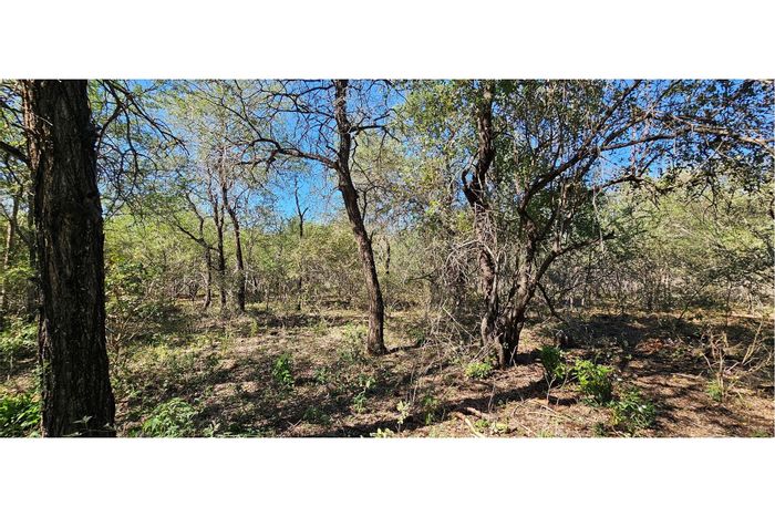 Vacant Land Residential in Marloth Park Central, For Sale with unique wildlife access.