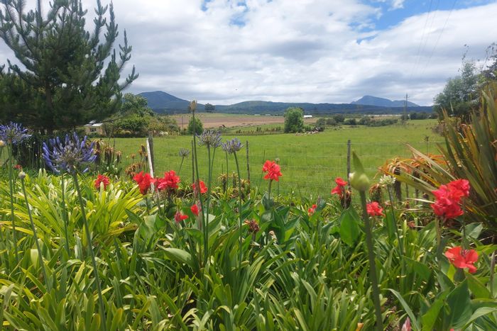 15-hectare farm in Hoekwil for sale with main house, flat, and barn.