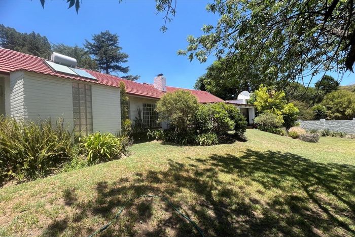 Bryanston House To Rent: Versatile space, home office, outdoor shower, large yard.