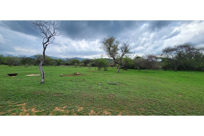 Cattle and Game Farm for Sale in Leeupoort with ample water sources and accommodation.