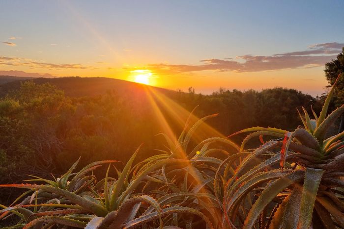 Keurboomstrand Farm For Sale: Spacious land, water access, and scenic views.