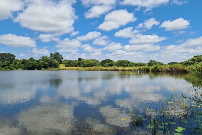 For Sale: 159-hectare farm in Hazyview Rural with irrigation, water rights, and infrastructure.