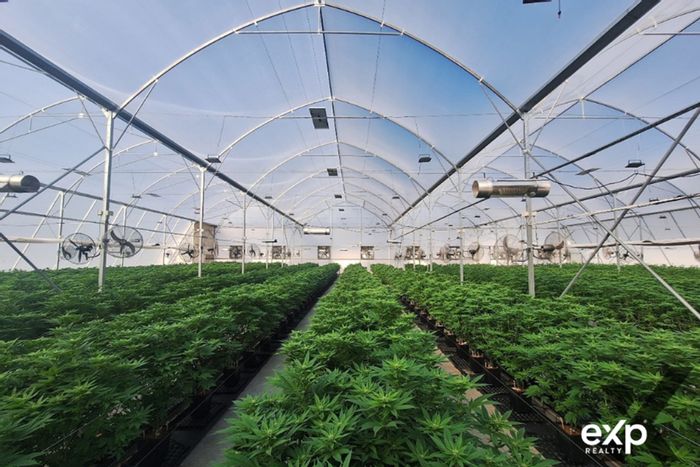 For Sale: 18-hectare licensed cannabis farm in Montagu Rural, equipped for cultivation.