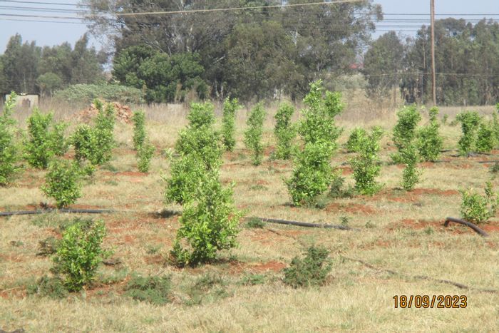 Naauwpoort Farm For Sale: 11,070m² with irrigation, storage, and development potential.