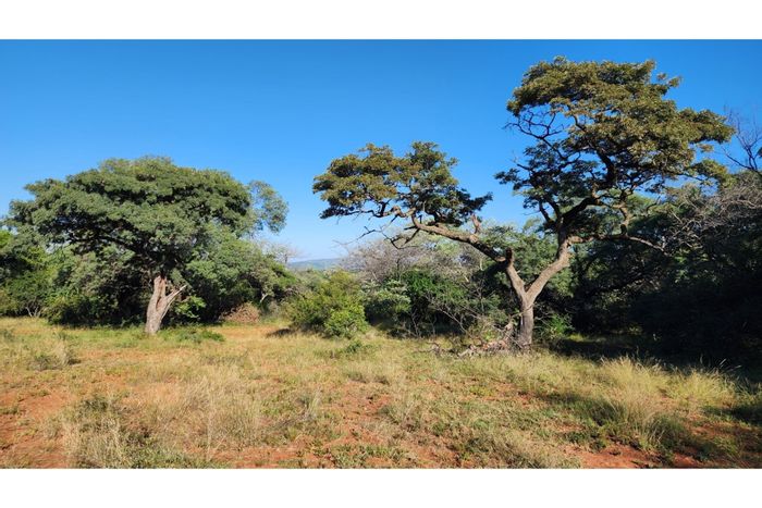 Vacant Land For Sale in Intaba-Indle Wilderness Estate with Approved Development Plans.