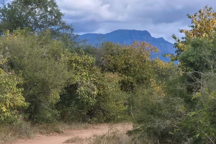 For Sale: 1 ha Farm in Moditlo Wildlife Estate, Big Five sightings, secure location.