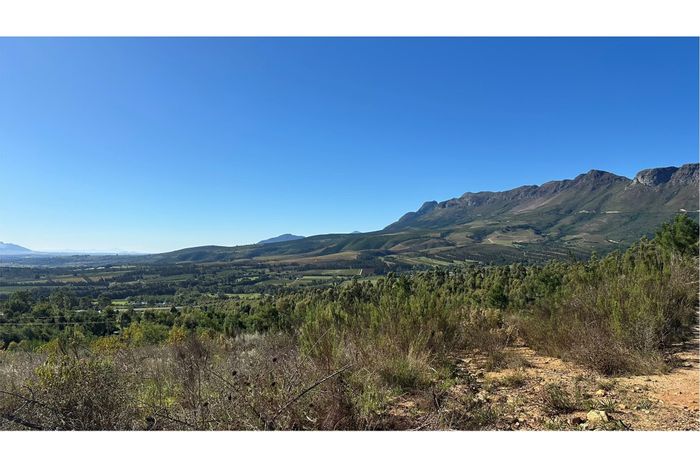 30-Hectare Farm for Sale in Paarl Rural with Vineyards and Function Venue.
