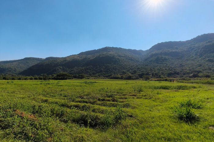 85-hectare farm in Nelspruit Rural with water rights and fertile land for sale.