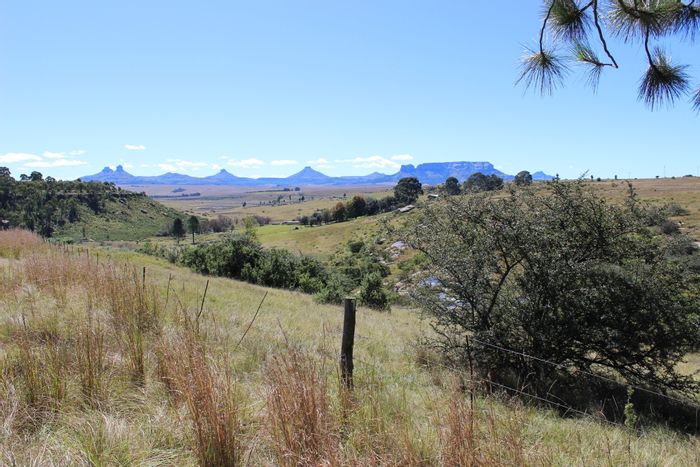 For Sale: Harrismith Rural Farm with Guest Accommodation, Restaurant, and Event Venue.