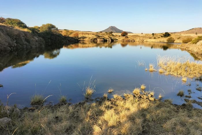 For Sale: Ladybrand Rural Farm with mining permit, agriculture potential, and development rights.
