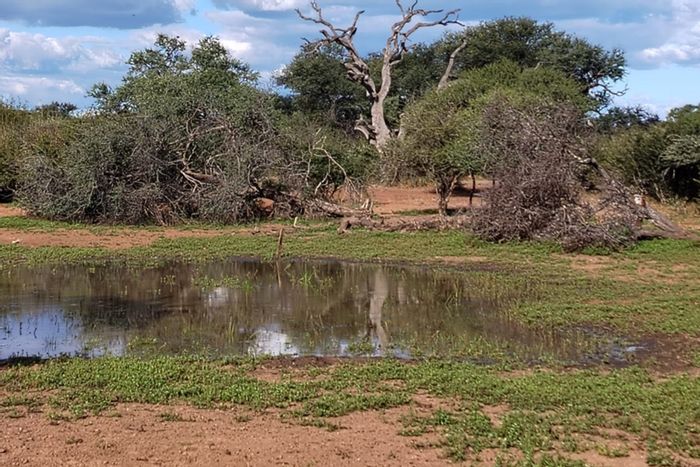 For Sale: 800 ha Farm in Tom Burke Central with game, water sources, and facilities.