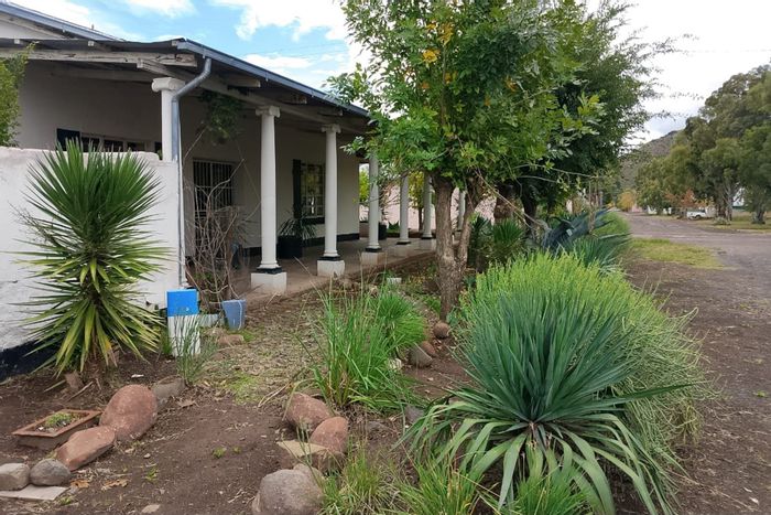 Dual homes for sale in Steynsburg Central, ideal for investment or family living.