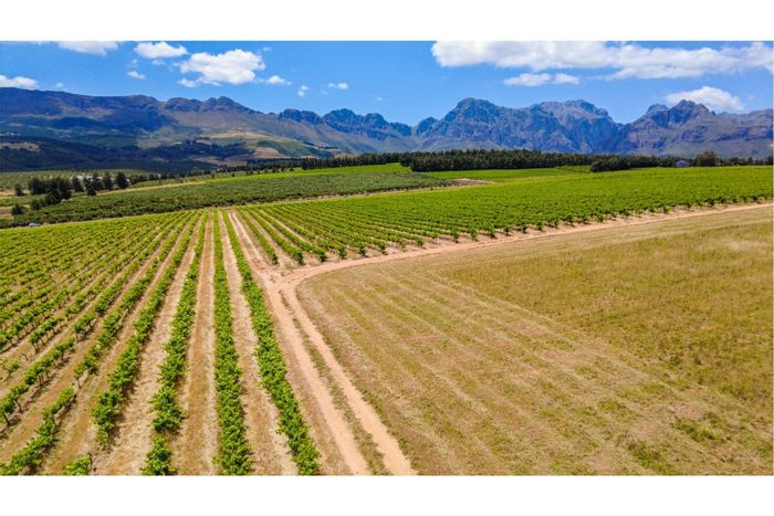Paarl North Farm For Sale: 3-bed cottage, 5.6ha vineyard, large dam.