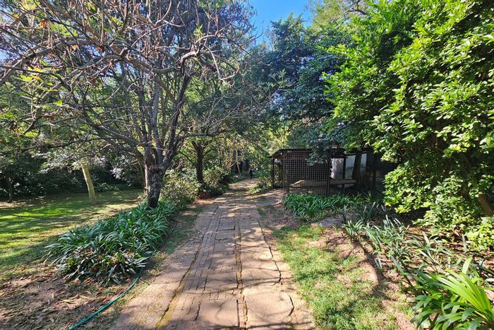 For Sale: 4-Bedroom House in White River AH with pool, garden, and storage.