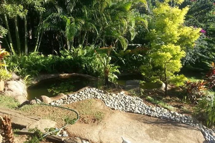 Black Rock House For Sale: 8 Flats, main house, income potential, nature views.