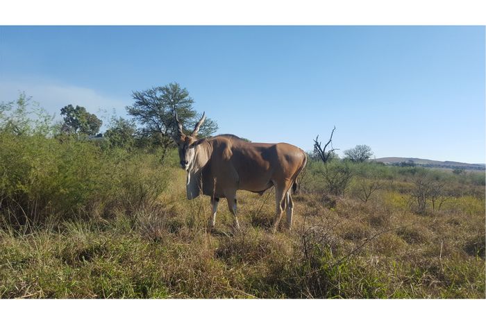 For Sale: Vacant Land Residential in Letamo Game Farm with wildlife and amenities.