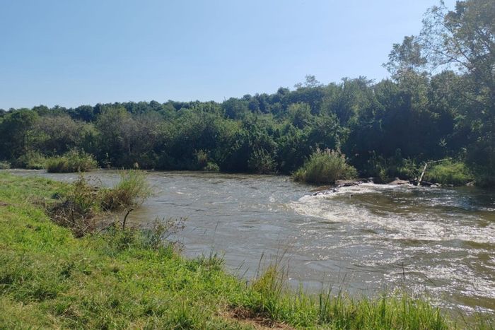 For Sale: Alkmaar Farm with macadamia orchard, homes, industrial zoning, and security.