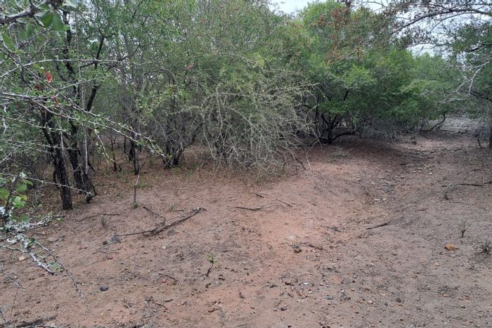 Vacant Land Residential For Sale in Marloth Park Central, 2078 m² with bushveld views.