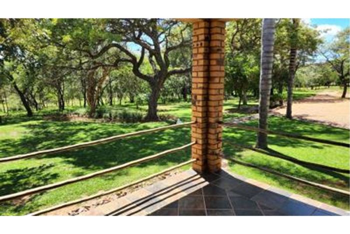 For Sale: 5-hectare farm in Bela Bela Central with borehole, game fencing, and fruit trees.
