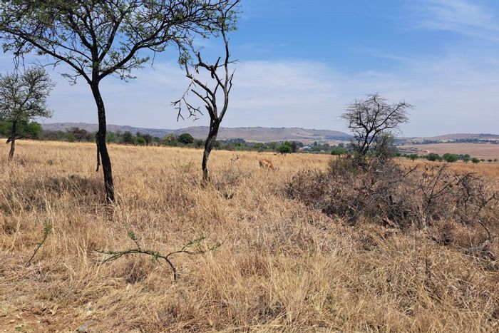 For Sale: Letamo Game Farm - 2-hectare vacant land with wildlife and activities.