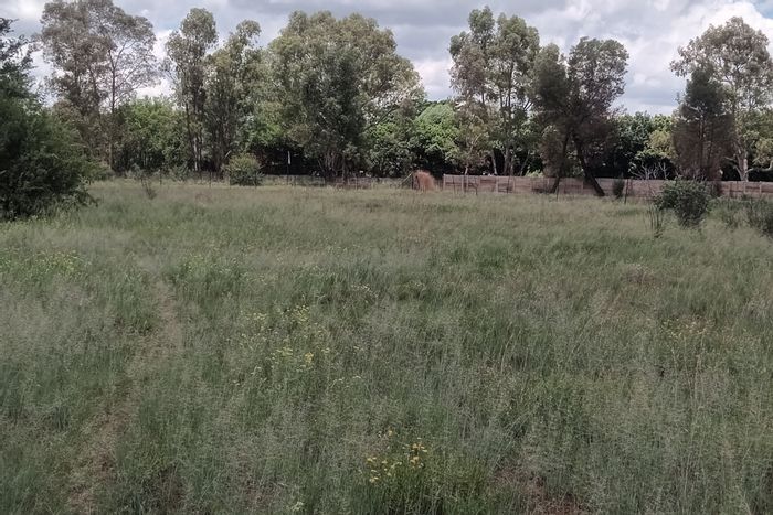 Prime Tedderfield AH Farm To Rent: 1000 sqm yard, secure, main road exposure.