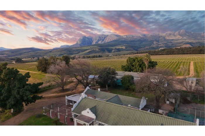 For Sale: Productive Wine Farm in Paarl Rural with ample water rights and accommodations.