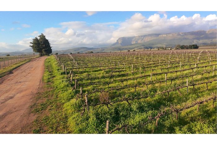 Klein Nederburg Farm For Sale: Wine production, irrigation, and spacious residence included.