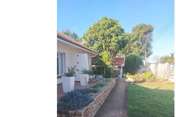 For Sale: Spacious 4-Bedroom House in Despatch Central with multiple studies and outdoor lapa.