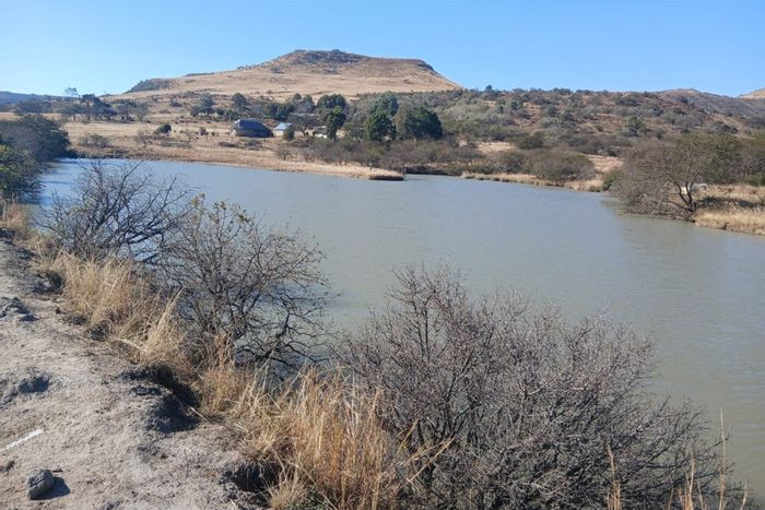 185HA Farm For Sale in Normandien: Game, cattle, water supply, and accommodation included.