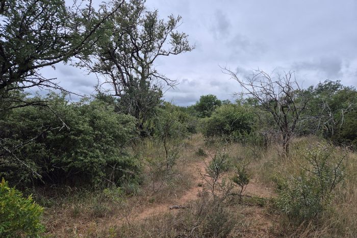 Vacant Land Residential in Moditlo Wildlife Estate For Sale, river access and wildlife.