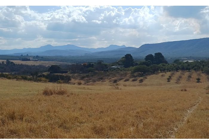 For Sale: Versatile 50.33ha farm in Louis Trichardt Rural with game breeding potential.
