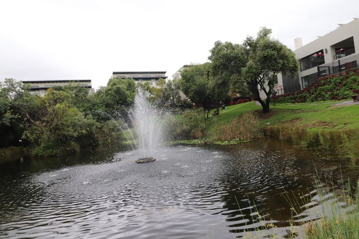 Two-bedroom apartment for sale in Fourways, featuring secure estate amenities and balcony.