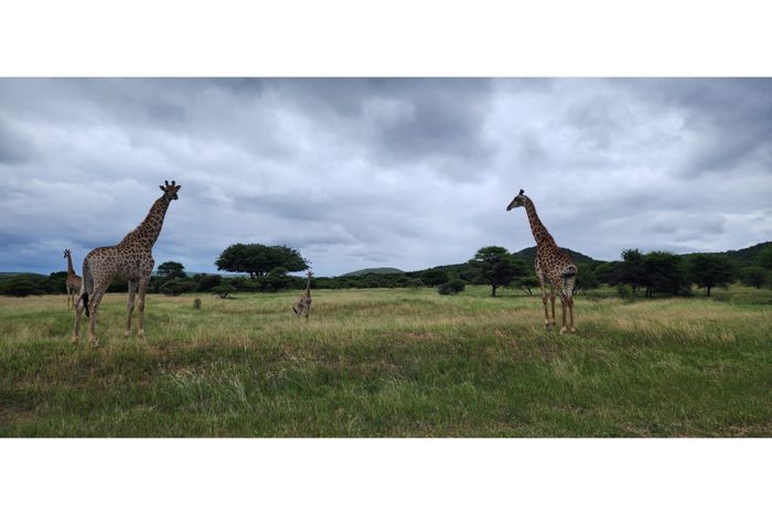 For Sale: 600m² Vacant Land in Intaba-Indle Wilderness Estate, secure with nature access.