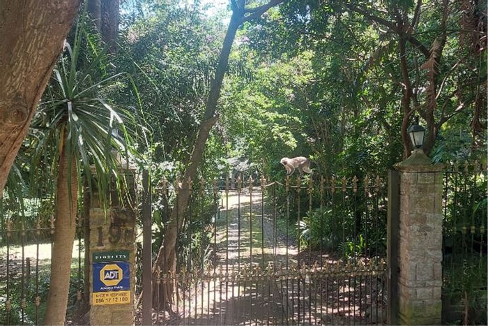 Cottage to Rent in Umtentweni: 3 bedrooms, garden, near sea and forest.
